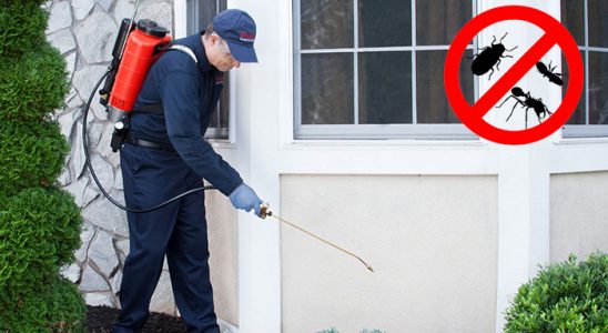 Avcılar Tahtakurusu İlaçlama böcek ilaçlama ve haşere kontrolü — ilaclama-tr.com